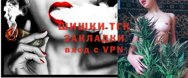 стаф Белокуриха