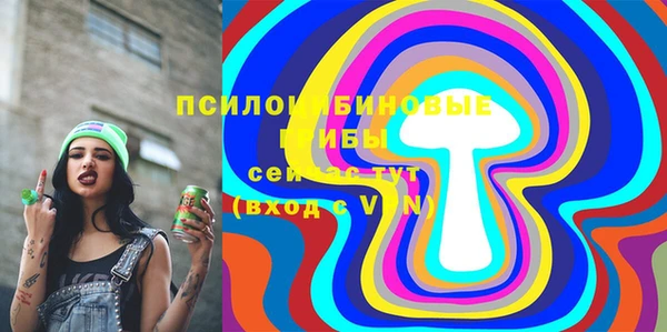 стаф Белокуриха