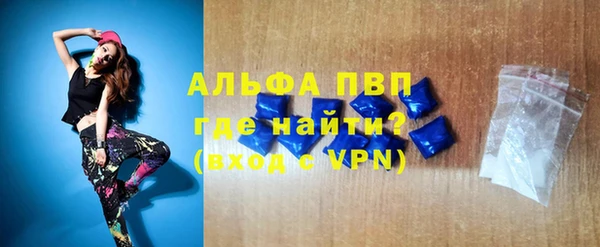 стаф Белокуриха